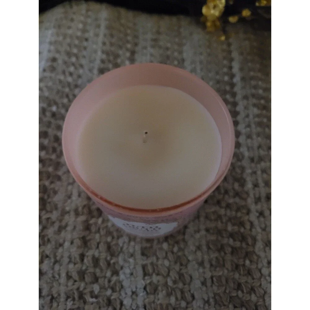 Tutti Frutti Candy Single Wick Bath and Body Works Candle